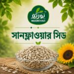 সূর্যমূখী বীজ | Sunflowers seed